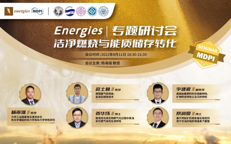 Energies 专题研讨会：洁净燃烧与能质储存转化发展现状及应用展望