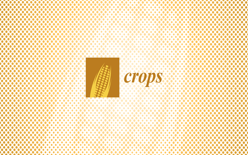 Crops期刊正式被Scopus收录 | MDPI News