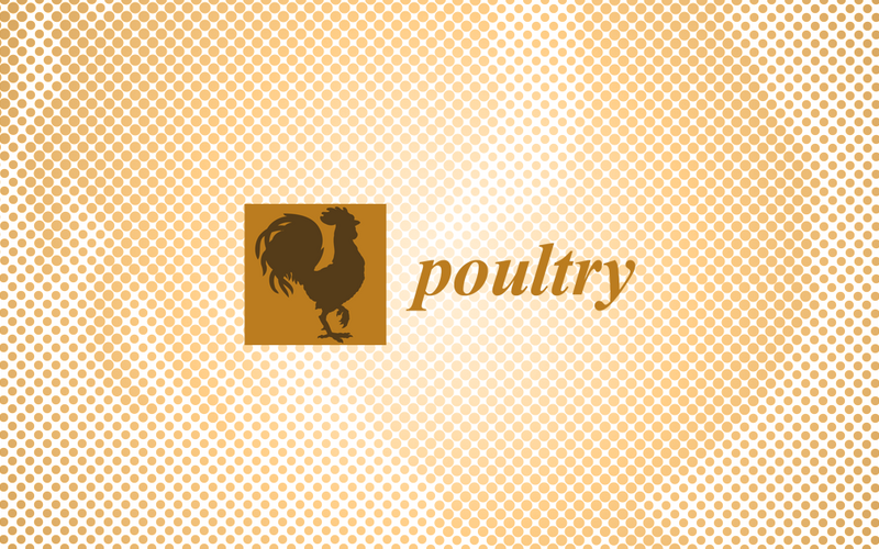 Poultry期刊正式被ESCI收录 | MDPI News