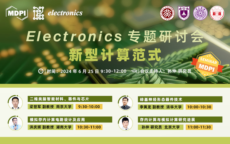 Electronics专题研讨会：新型计算范式 | MDPI Seminar