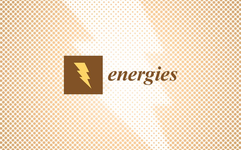 Energies 期刊编委会——储能技术前沿学术交流会 (北京专场) | MDPI 会议回顾