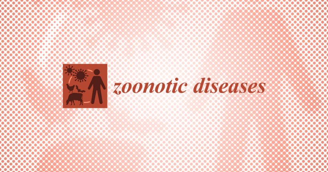 Zoonotic Diseases期刊正式被ESCI收录 | MDPI News
