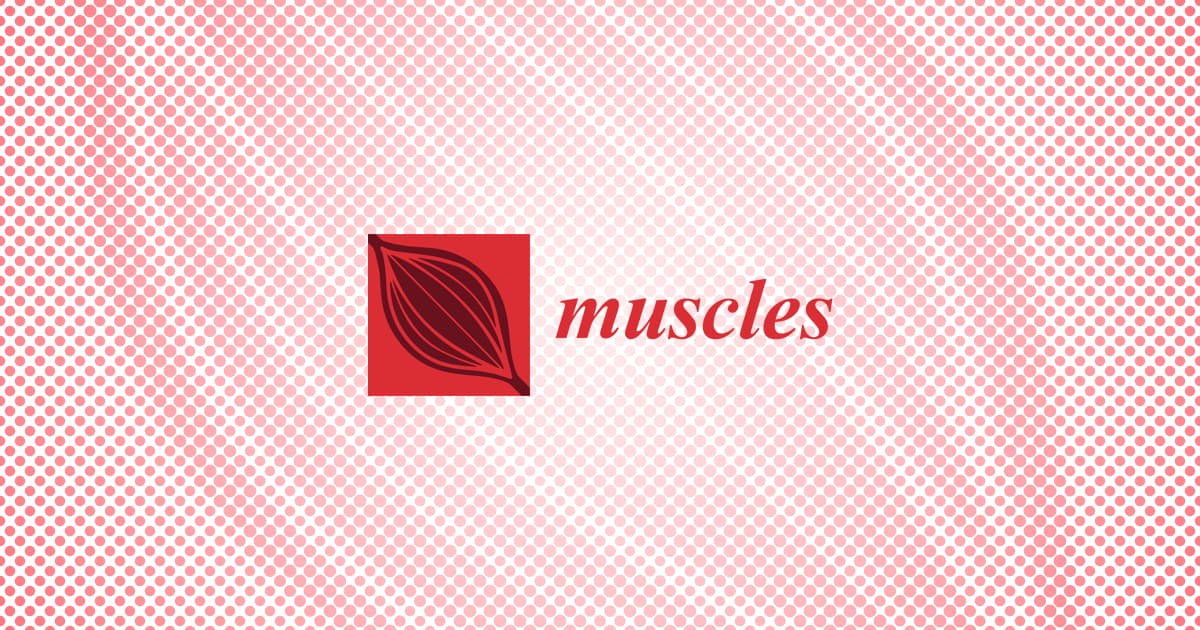 Muscles期刊正式被Scopus收录